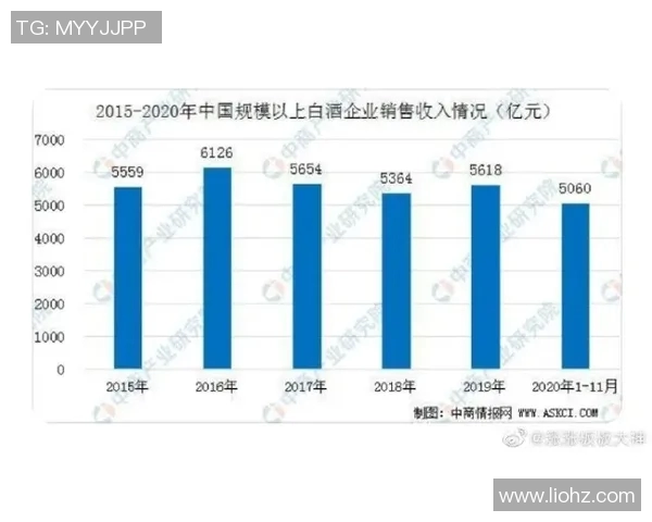 独家解读：全球LNG市场实力对比与未来发展趋势分析